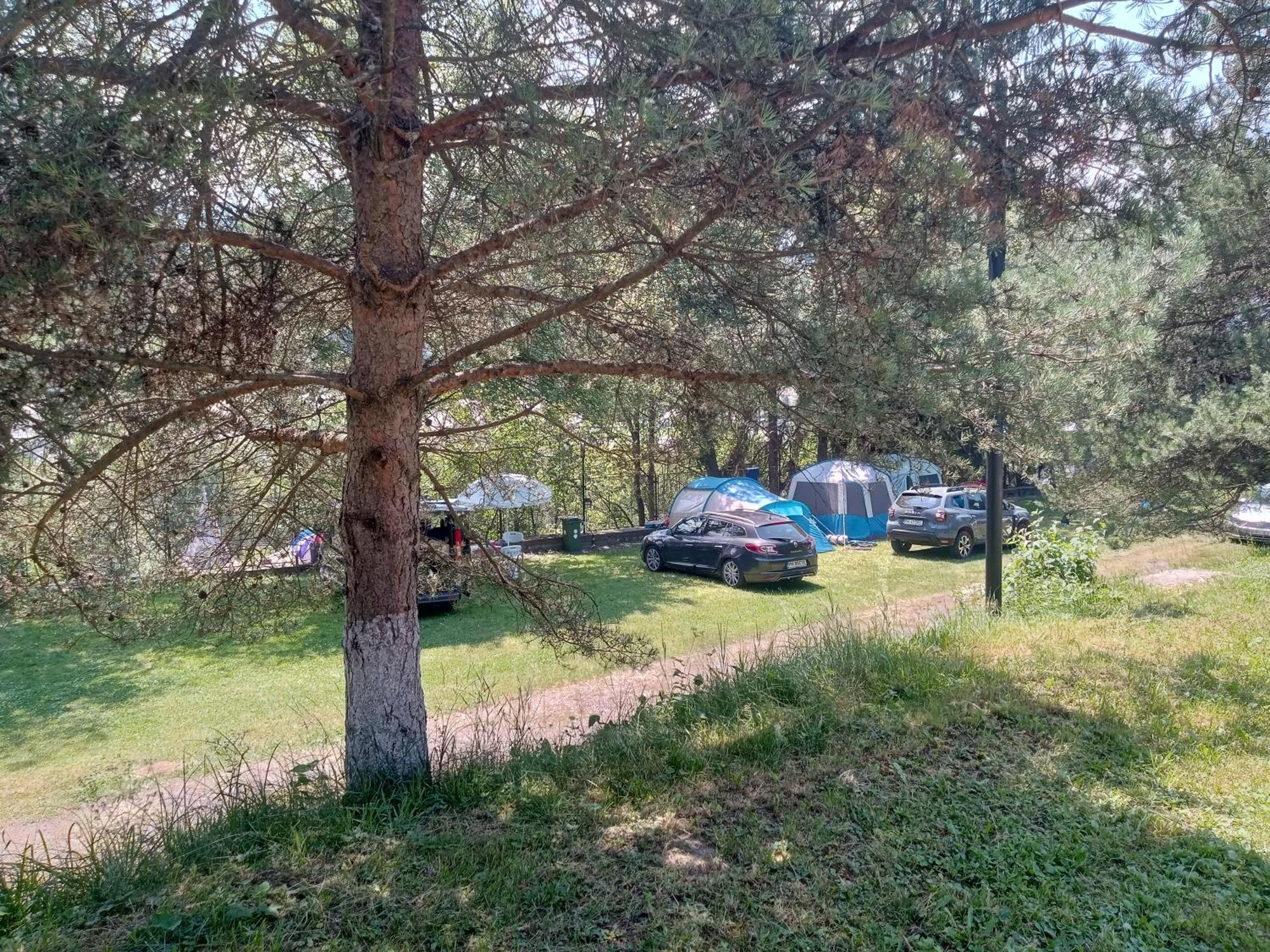 Camping Veverita Vatra Dornei Exterior foto